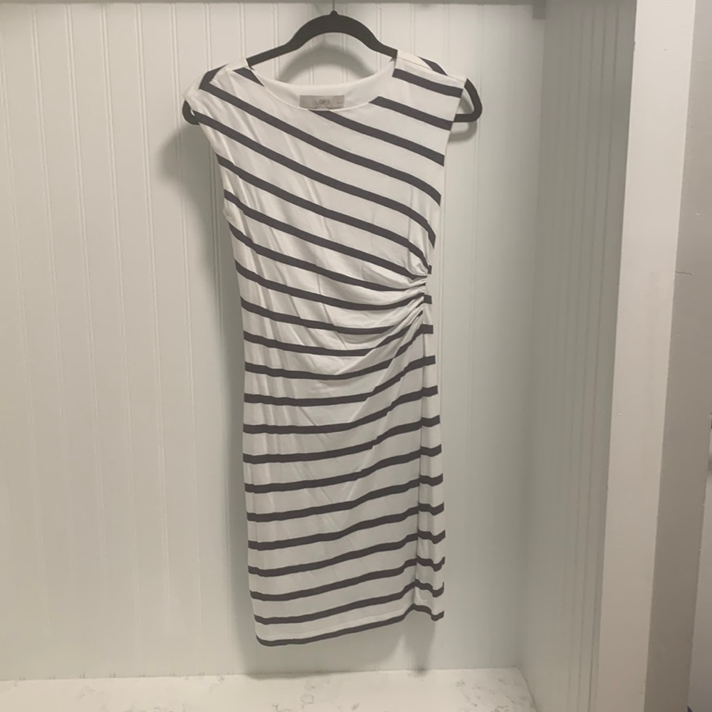 Ann taylor loft dress